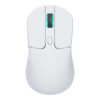 Wireless Optical Mouse