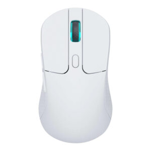 Wireless Optical Mouse