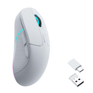 Wireless Optical Mouse